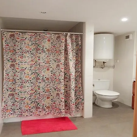 Pont De Ferro Gerona