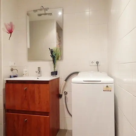 Pont De Ferro Apartment Gerona